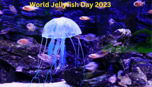 World Jellyfish Day History Significance Fascinating Facts