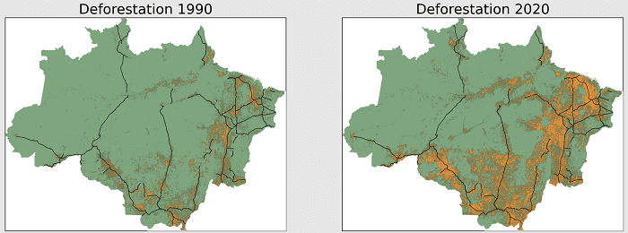 Amazon Forest Deforestation Brazil