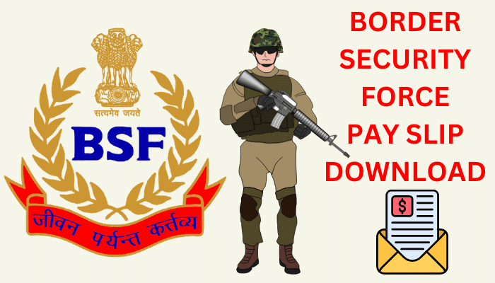 BSF Pay Slip