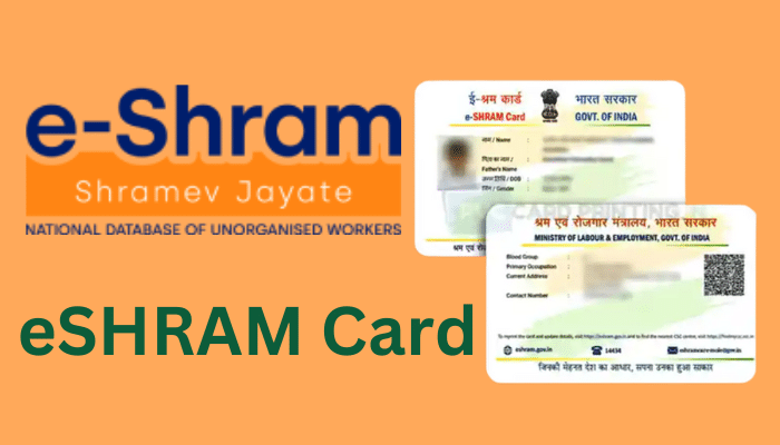 _eSHRAM Card